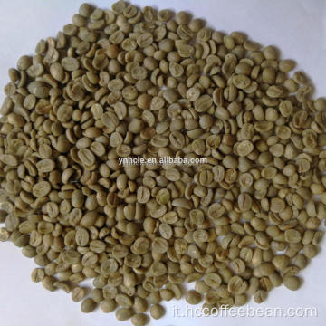Chicchi di caffè verde yunnan arabica lavati di grado AA